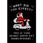 Secret Santa Gift Under 5 Pounds: Sudoku Puzzle Book, A Humorous Present for Women, Men, and Colleagues