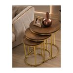 SEDAŞ LIVING UNITS 3 'lü Koyu Ceviz Suntalam Gold Metal Ayak Zigon Sehpa sedaş-living-units-sehpa-zigon