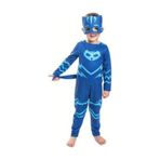 Sedirli Pj Mask Kostüm Pijamaskeliler Kedi Çocuk Kostüm -Tulum + Maske Çok Renkli