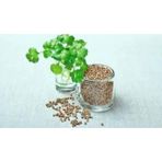 Seed 10 gr 1 Paket Kişniş Tohumu