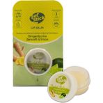 Şef Stick Kavanoz Zencefil Limon 10 ml Lip Balm