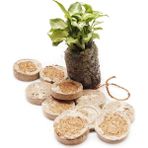 Sef Tarım Disk Cocopeat (Kokopit) Disk- 5'li Paket