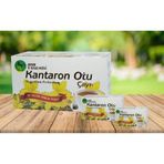 Sefer Yasemin Kantaron Otu Çayı
