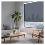 Şeffaf tek kullanımlık stor perde, UV engelleyici ve ısı yalıtımlı, balkon, oturma odası, ofis için günlük görüş engelleyici pencere örtüsü, sağlam, parlamayan PVC güneş koruma tonu (127 x 250 cm)