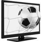 SEG 22SEF5520 55 Ekran Uydu Alıcılı Full HD LED TV