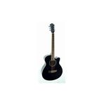 Segovia SGA40BK Akustik Gitar