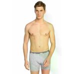 Seher 2 Adet Gri Renk Likralı Boxer BRWEZDSL1R039