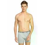Seher Gri Renk Likralı Boxer BRWEZDSL1R038