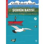 Şehrin Batısı Kuşlar ve Çevre Kirliliğine Çözüm Buluyor - Hamit Annak