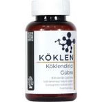 Seika KÖKLEN 200 ml Köklendirici Gübre Bitkiler İçin Hızlı Köklenme Sağlayan Özel Formül