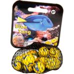 Şeker Adası Filede Kaliteli Deniz Hayvanları Misket 1 / Blue Tang - Sarı - Mavi