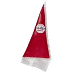 ŞEKER & SUGAR Glazür Kırmızı 100 Gr