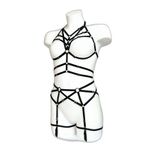 Seksi Jartiyer Harness Takım - Brf347