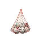 Selex GB2201 Top Taşıma Filesi