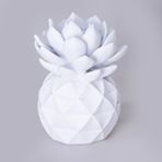 Selim Dekor Echeveria Dekoratif Aksesuar Beyaz