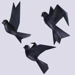 Selim Mouette 3'lü Siyah Dekoratif Kuş