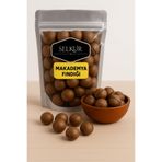 SELKUR Kabuklu Kavrulmuş Makademya Fındığı 1KG(AÇACAK APARATI İLE)
