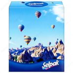 Selpak Butik Kutu Mendil