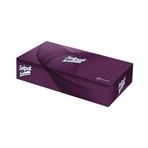 Selpak Professional Extra Kutu Mendil 18x21cm 80 Yaprak 24 Paket