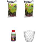 Seltop Mynil Torf 5Lt 2 Adet+Bitki Besini+Şeffaf Saksı