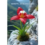 Semetti…di buon senso