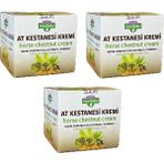 Sena Sultan At Kestanesi Kremi 100 Ml 3Adet