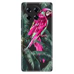Senada Tecno Spark 20 Pro Plus 6.78İnc İle Uyumlu Kılıf Art Silikon Baskılı Tpu Papağan