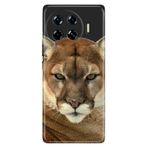 Senada Tecno Spark 20 Pro Plus 6.78İnc İle Uyumlu Kılıf Dekoratif Silikon Baskılı Kapak Asil Aslan Kaplan
