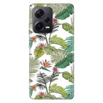 Senada Xiaomi Redmi Note 12 Pro 5G İle Uyumlu Kılıf Silikon Desenli Resimli Kapak Tropical
