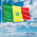 Senegal Bayrağı - 100x150 cm (1 metre x 1,5 metre) - Raşel Kumaş