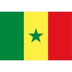 Senegal Gönder Bayrağı 100X150 Cm.