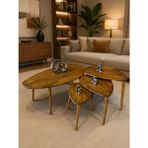 Senka Wood Doğal Masif Ahşap Modern Iskandinav Asimetrik Orta Sehpa ve 3lü Zigon Sehpa Takımı - Orta ve Zigon takımı - Venge