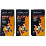 Senkavit Kids Sitikolin Omega 3 Vitamin B 3x100 ml Şurup