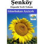 Şenköy Yerli Ayçiçek Günebakan Tohumu Doğal Ata Ayçiçek Tohum Pakette 10 gr Tohum - 30 Adet