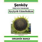 Şenköy Yerli Ayçiçek Günebakan Tohumu Doğal Ata Tohum Pakette 10Gr 50 Tohum + Sebze Tohumu - 10 gr