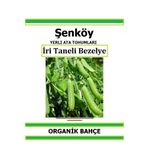 Şenköy Yerli Erkenci Bezelye Tohumu Doğal Ata Bezelye Tohumu Pakette 10 gr 40 Tohum Hediye Tohum