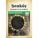 Şenköy Yerli Kara Ayçiçek Tohumu Doğal Ata Çerezlik Ayçiçek Tohumu Pakette 25 gr 150 Adet + Sebze Tohumu - 1 Adet