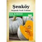 Şenköy Yerli Kestane Balkabağı Tohumu Doğal Bal Kabak Ata Tohum Pakette 10 Gr - 1 Adet