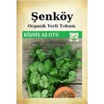 Şenköy Yerli Kişniş Aş Otu Tohumu Doğal Ata Geniş Yaprak Ispanak Tohum 1 Pakette 25 gr 3000 Tohum - 1 Adet