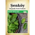 Şenköy Yerli Kuzukulağı Ekşiotu Tohumu Doğal Ata Kuzu Kulağı Ekşi Otu Tohumu Pakette 10 gr