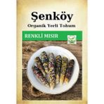 Şenköy Yerli Renkli Mısır Tohumu Doğal Ata Patlatmalık Süt Mısır Tohumu Pakette 10 Gr 60 Tohum - 1 Adet