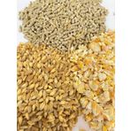 Şenler Zahire - 10 Kg - Yumurta Palet Yemi - Kırık Mısır ve Buğday Karışık Yem