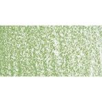 Sennelier Olive Green 046 Yağlı Pastel