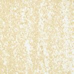Sennelier Titanium Buff 099 Yağlı Pastel