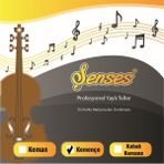 Şenses Müzik Kemençe Takım Teli