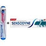 Sensodyne Diş Eti Bakımı Diş Fırçası +100 ml Diş Macunu