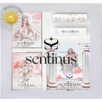 Sentinus Summer Pack Makyaj Seti (Ruj, Allık, Highlighter, Far Paleti)