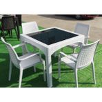 Şenyayla Rattan Camlı Kare Masa Takımı 90X90 Cm + 4 Adet Rattan Koltuk