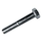 Şenzen M10x120 mm 8.8 g Beyaz 25'li 6 Köşe Başlı Civata
