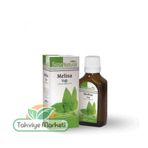 Sepe Natural 25 ml Melisa Oğulotu Yağı